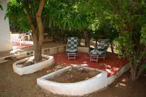 Onze tuin onder de mangoboom