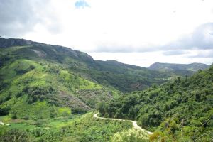 Uitzicht over het regenwoud