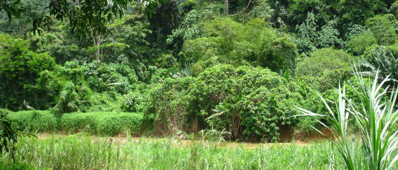 Khao Sok NP, uitzicht vanaf hut