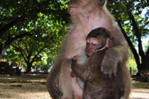 Melk drinken bij mama