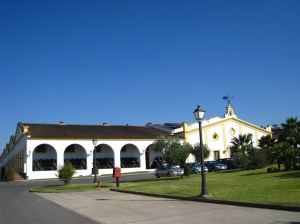 De bodega in Jerez de la frontera