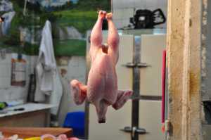 Kippetje in de medina