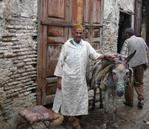 Medina, vervoersmiddel