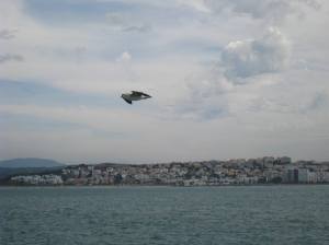 Overtocht Algeciras - Tanger