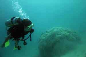 Duiken in het ABC house reef