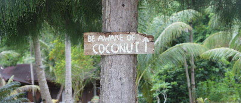 Pas op voor de kokosnoten
