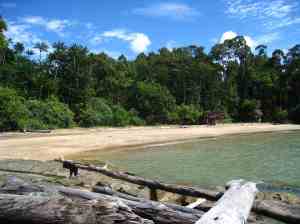 Bako NP, strandje waar we op uitkwamen