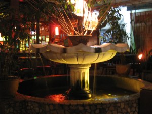 Fontein waar tilapiavis in zwom