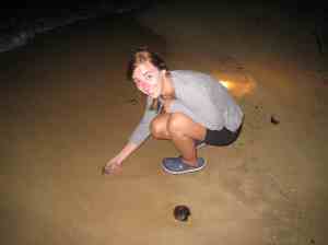 Kleine schildpadjes uitzetten