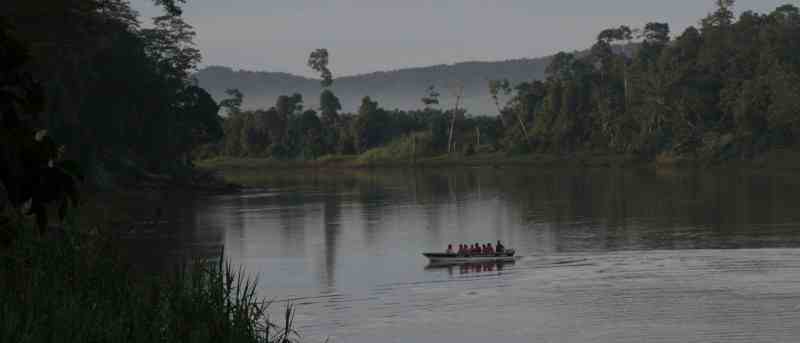 Morning safari op de Kinabatangan river
