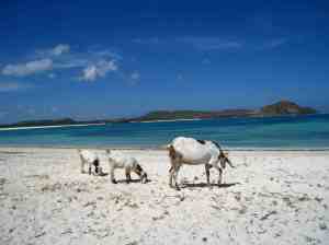 Ongerept strand in Kuta