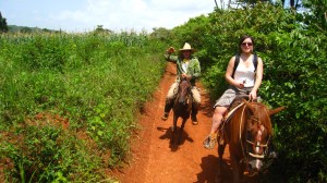 Vinales national park
