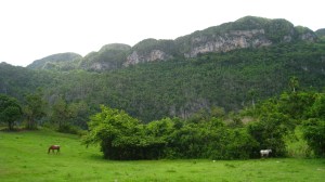 Vinales national park