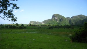 Vinales national park
