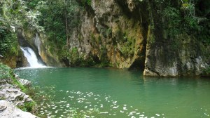 Natural swimming pool