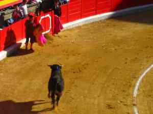Corrida de toros, part l