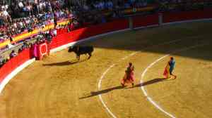 Corrida de toros, part lll