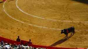Corrida de toros, part lll