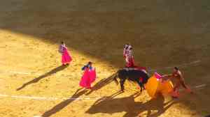 Corrida de toros, part lll toros