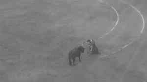 Corrida de toros, part lV