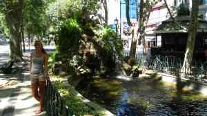 Avenida da Liberdade