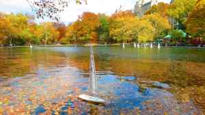 Central Park