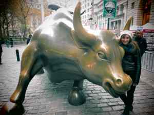 Wallstreet, the bull